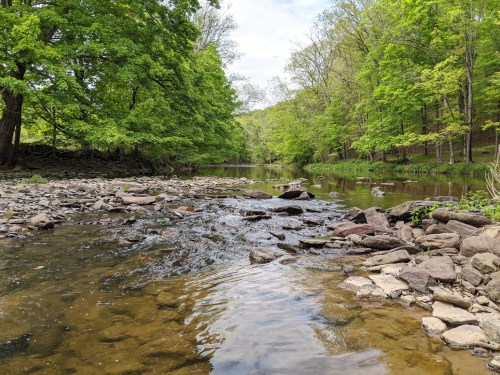 A serene river flows through a lush green landscape, surrounded by trees and rocky banks under a clear sky.