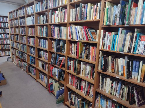 A narrow aisle between tall wooden bookshelves filled with a variety of books in a cozy library setting.