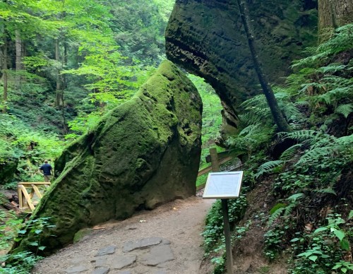 A moss-covered rock formation in a lush forest, with a path and informational sign nearby.