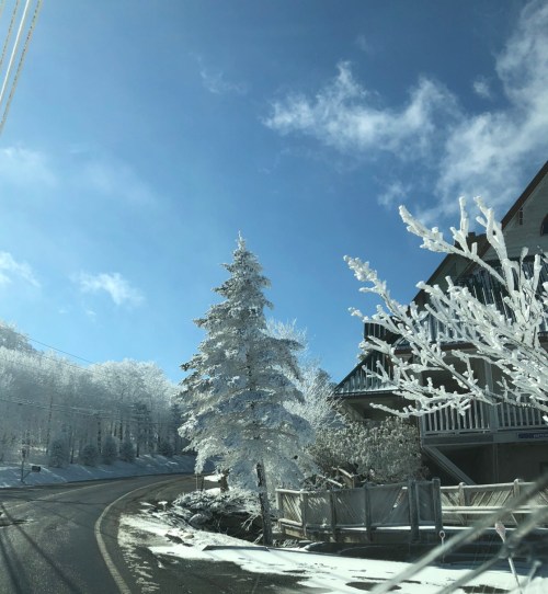 A snowy landscape with frosted trees and a house beside a winding road under a clear blue sky.