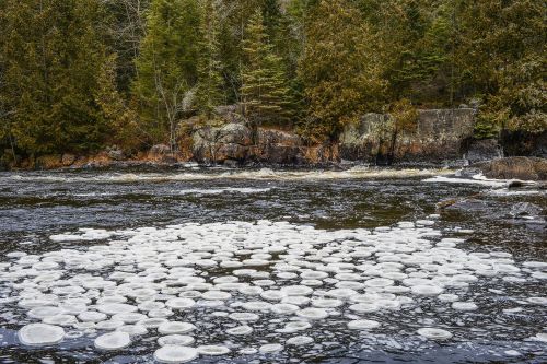 A serene river scene with circular ice formations floating on the water, surrounded by lush green trees and rocky banks.
