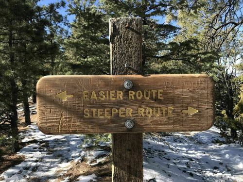 Wooden signpost in a forest, indicating "Easier Route" to the left and "Steeper Route" to the right. Snow on the ground.