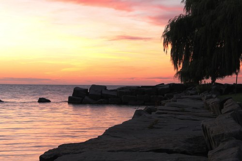 A serene sunset over calm waters, with a rocky shoreline and a willow tree silhouetted against vibrant pink and orange skies.