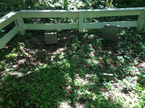A small, overgrown grave site with four weathered headstones surrounded by greenery and a white wooden fence.