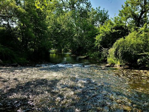 A serene river flows through a lush green landscape, surrounded by trees and sunlight filtering through the leaves.