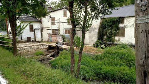Abandoned buildings surrounded by overgrown grass and trees, with a small stream running alongside.