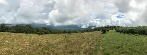 A panoramic view of a grassy field with trees and rolling hills under a cloudy sky.