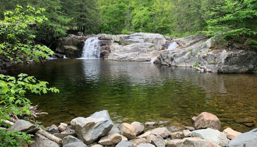 A serene landscape featuring a small waterfall cascading into a clear pool, surrounded by lush greenery and rocks.