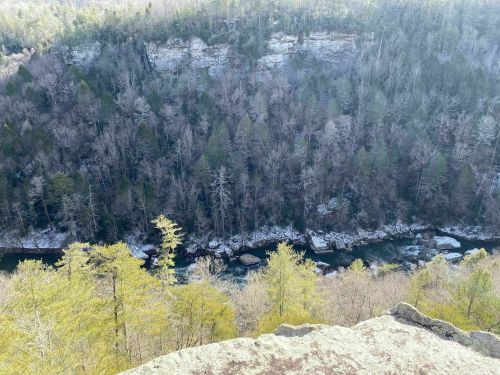 Aerial view of a river winding through a forested valley with rocky cliffs and trees in early spring.