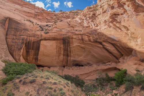 Ancient cliff dwellings nestled under a large rock overhang, surrounded by desert vegetation and blue sky.
