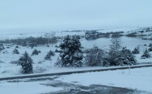 A snowy landscape with trees and a calm lake, under a gray sky, creating a serene winter scene.