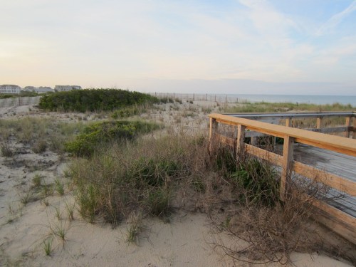 A wooden walkway leads through sandy dunes with sparse vegetation, overlooking a calm beach and ocean at sunset.