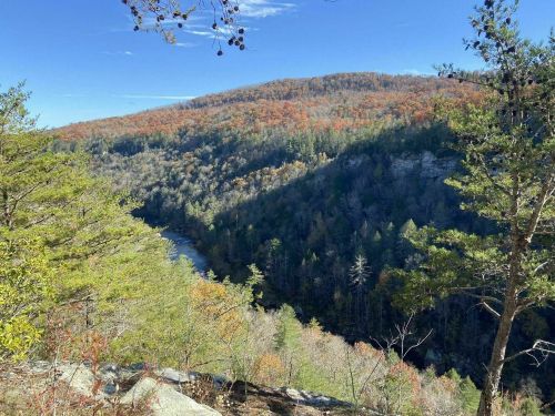 A scenic view of a forested valley with autumn foliage and a river winding through the landscape under a clear blue sky.