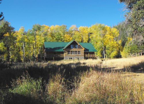 A rustic wooden house with a green roof surrounded by vibrant autumn trees and tall grass under a clear blue sky.