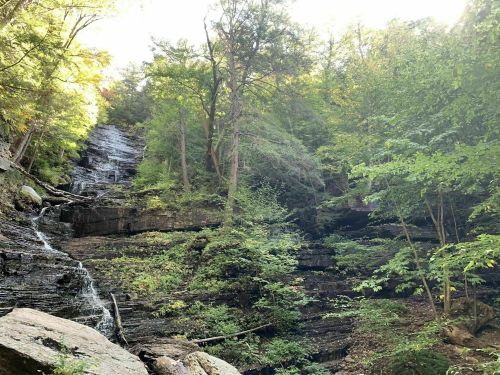 A serene waterfall cascading down a rocky cliff, surrounded by lush green trees and foliage.