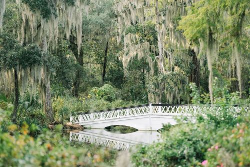 A serene scene of a white bridge over a calm waterway, surrounded by lush greenery and hanging moss.