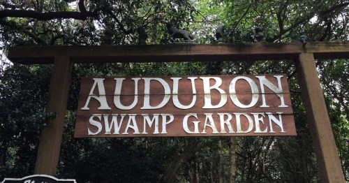 Wooden sign reading "Audubon Swamp Garden" surrounded by lush greenery and trees.