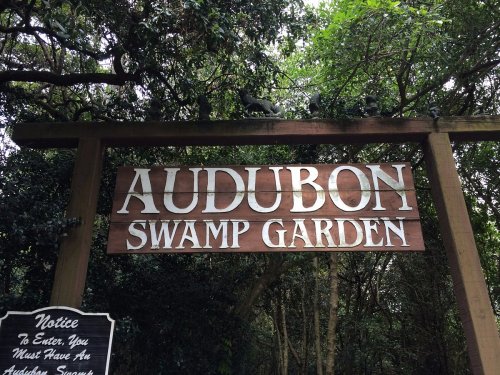 Sign for Audubon Swamp Garden surrounded by lush greenery, with a notice about entry requirements below.