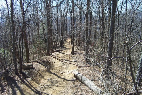 A winding dirt path through a sparse, leafless forest with bare trees and scattered rocks.