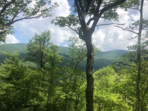 Lush green trees frame a scenic view of rolling hills and a partly cloudy sky.
