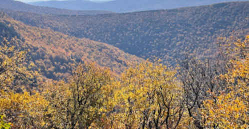 A scenic view of rolling hills covered in vibrant autumn foliage under a clear blue sky.
