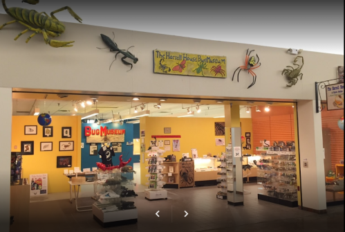 Entrance to the Harrell House Bug Museum, featuring colorful insect displays and educational exhibits.