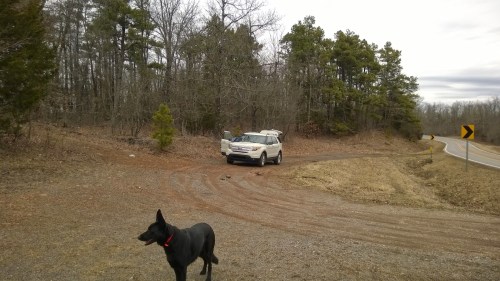 A black dog walks near a parked SUV on a gravel road surrounded by trees and a curve in the road.