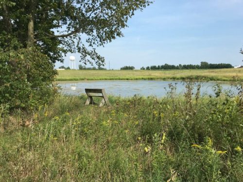 A serene landscape featuring a pond, a bench, and lush greenery under a clear blue sky.