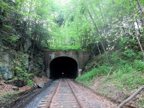 A dark tunnel surrounded by lush green trees and rocky terrain, with train tracks leading into the entrance.