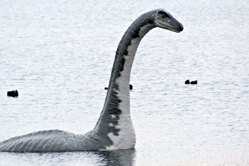 A large, dinosaur-like creature with a long neck swimming in calm water, resembling a mythical sea monster.