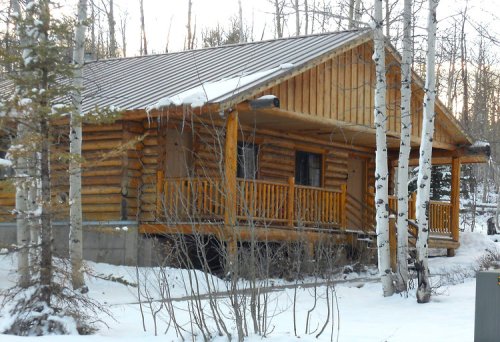 A cozy log cabin surrounded by snow-covered trees, featuring a wooden porch and a sloped roof.