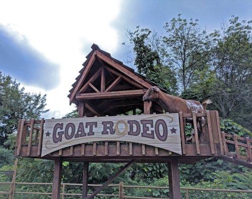 A goat stands on a wooden platform under a sign that reads "GOAT RODEO," surrounded by trees and blue sky.