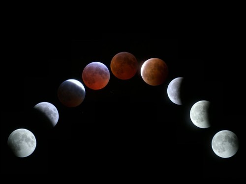 A sequence of images showing the phases of a lunar eclipse, from full moon to total eclipse and back to full moon.