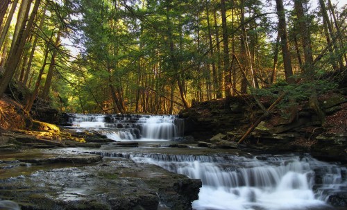 A serene forest scene featuring cascading waterfalls surrounded by lush green trees and rocky terrain.