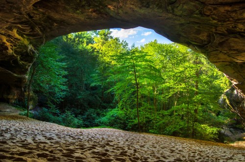 A sandy cave entrance frames a lush green forest with trees under a bright blue sky.