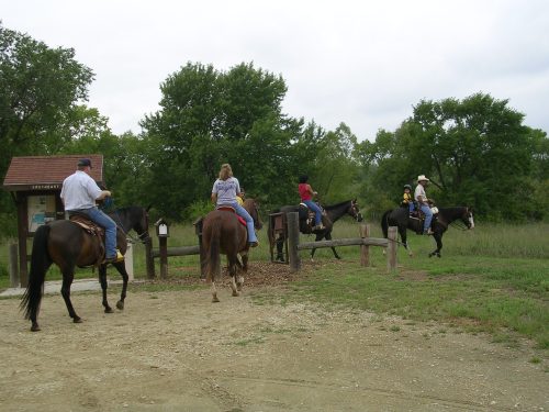 A group of people on horseback riding along a trail, surrounded by trees and grassy areas.