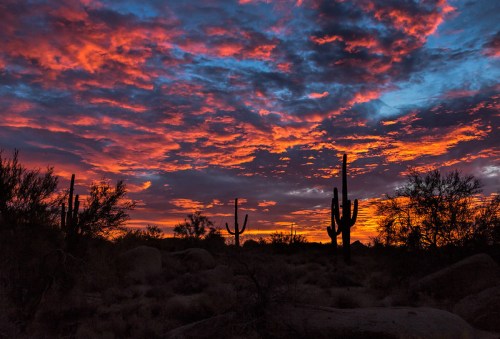Vibrant sunset over a desert landscape, with silhouetted cacti and dramatic clouds in shades of orange and blue.