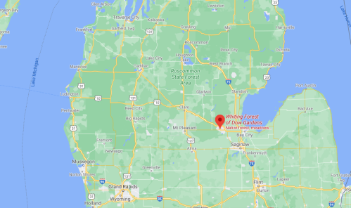 Map showing the location of Whiting Forest of Dow Gardens in Michigan, near Mount Pleasant and Saginaw.