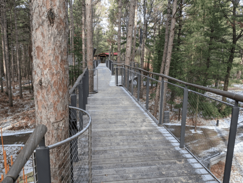 A wooden walkway with metal railings winds through a forest of tall trees, with a hint of snow on the ground.