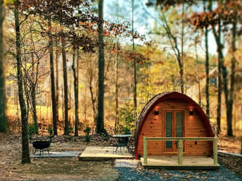 A cozy wooden cabin nestled in a forest, surrounded by trees and autumn foliage, with a small deck and fire pit.
