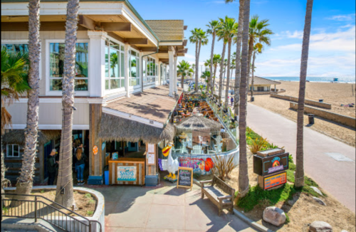 A beachfront restaurant with palm trees, outdoor seating, and a sandy beach in the background under a clear blue sky.