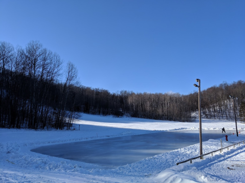 A frozen pond surrounded by snow-covered trees under a clear blue sky, with a person skating in the distance.