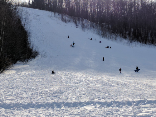 People sledding down a snowy hill, surrounded by trees, on a bright winter day.