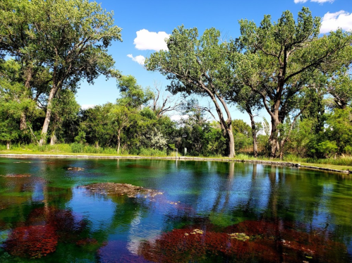 A serene pond surrounded by lush greenery and trees, reflecting blue skies and colorful underwater plants.