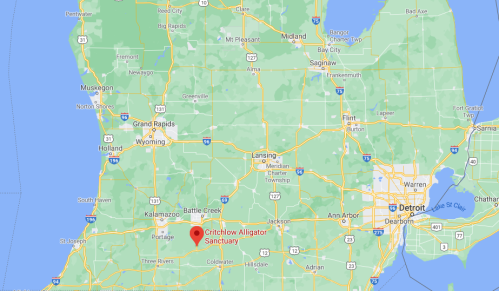 Map showing the location of Crintchlow Alligator Sanctuary in Michigan, near Kalamazoo and south of Grand Rapids.