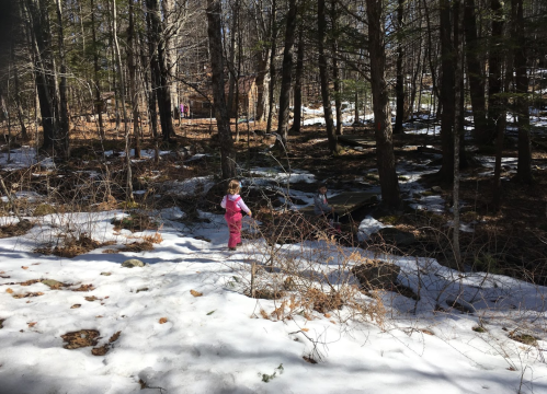 Two children play in a snowy forest, surrounded by trees and patches of snow, with a stream visible nearby.