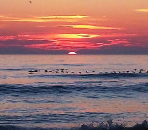 A serene sunset over the ocean, with birds flying in formation across the water's surface.