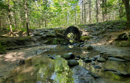 A large pipe sits in a forested area, surrounded by rocks and a shallow stream reflecting the trees above.