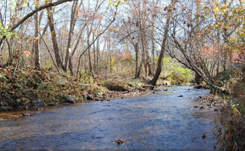A serene river flows through a wooded area with autumn foliage and bare trees lining the banks.