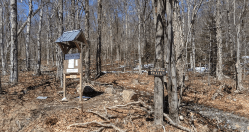 Trailhead sign for Mystical Trail in a wooded area, with bare trees and scattered leaves on the ground.